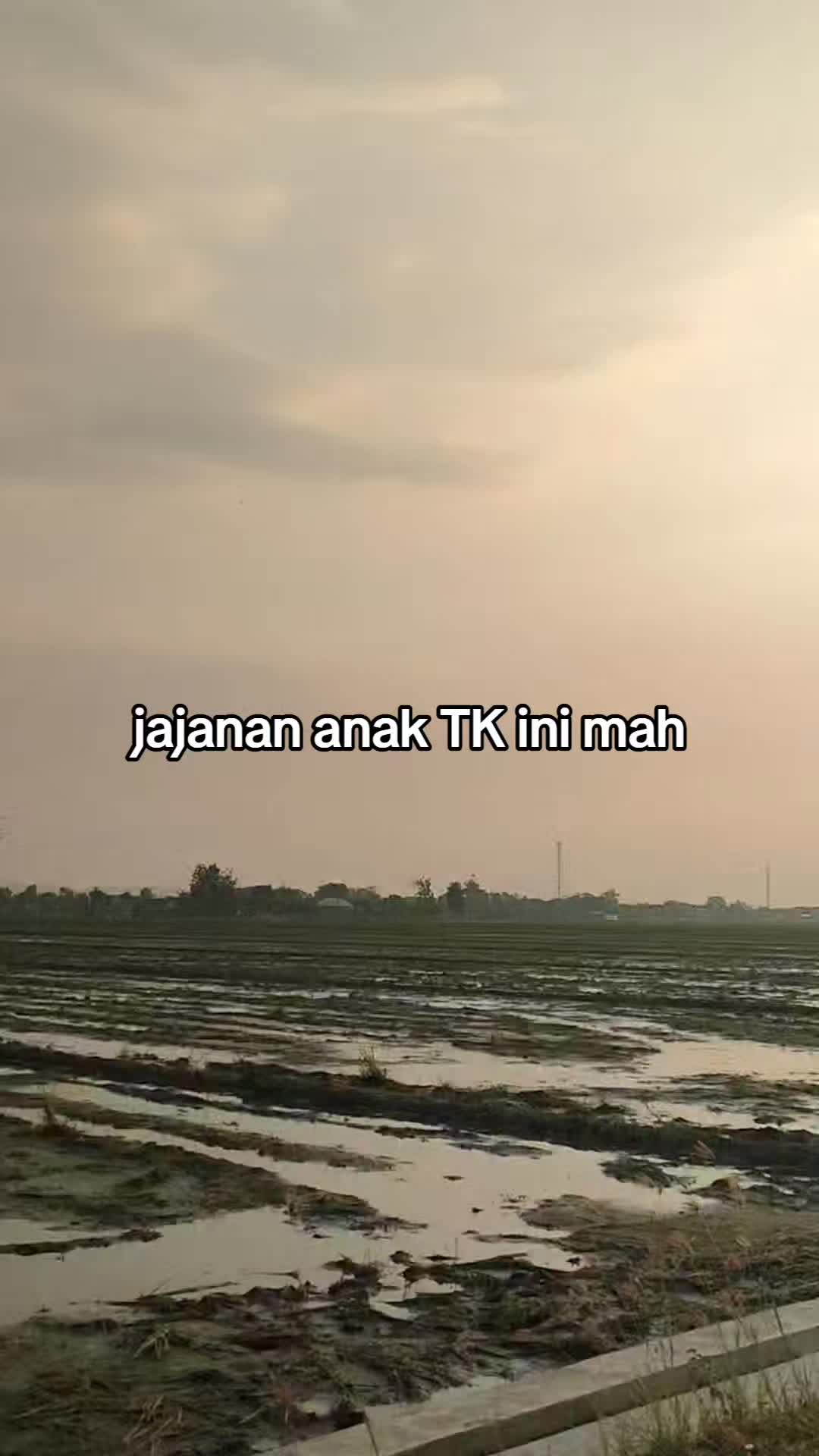 @pemulashopp