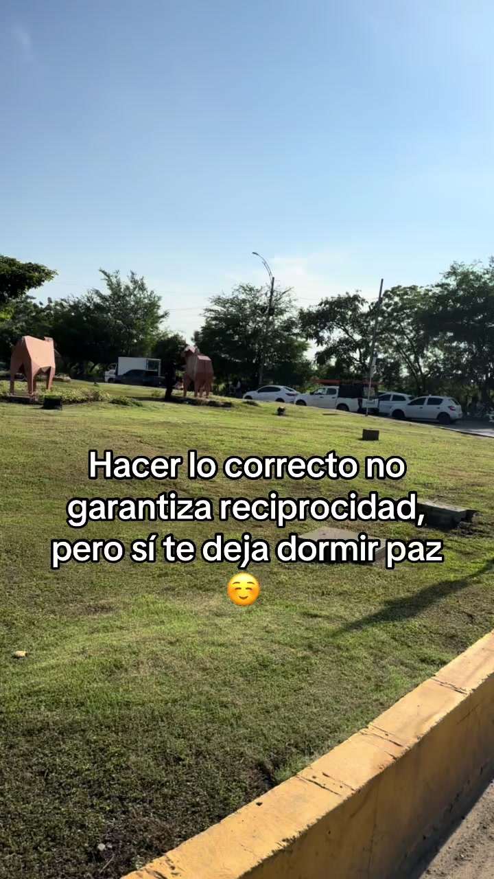 @luismamoreno