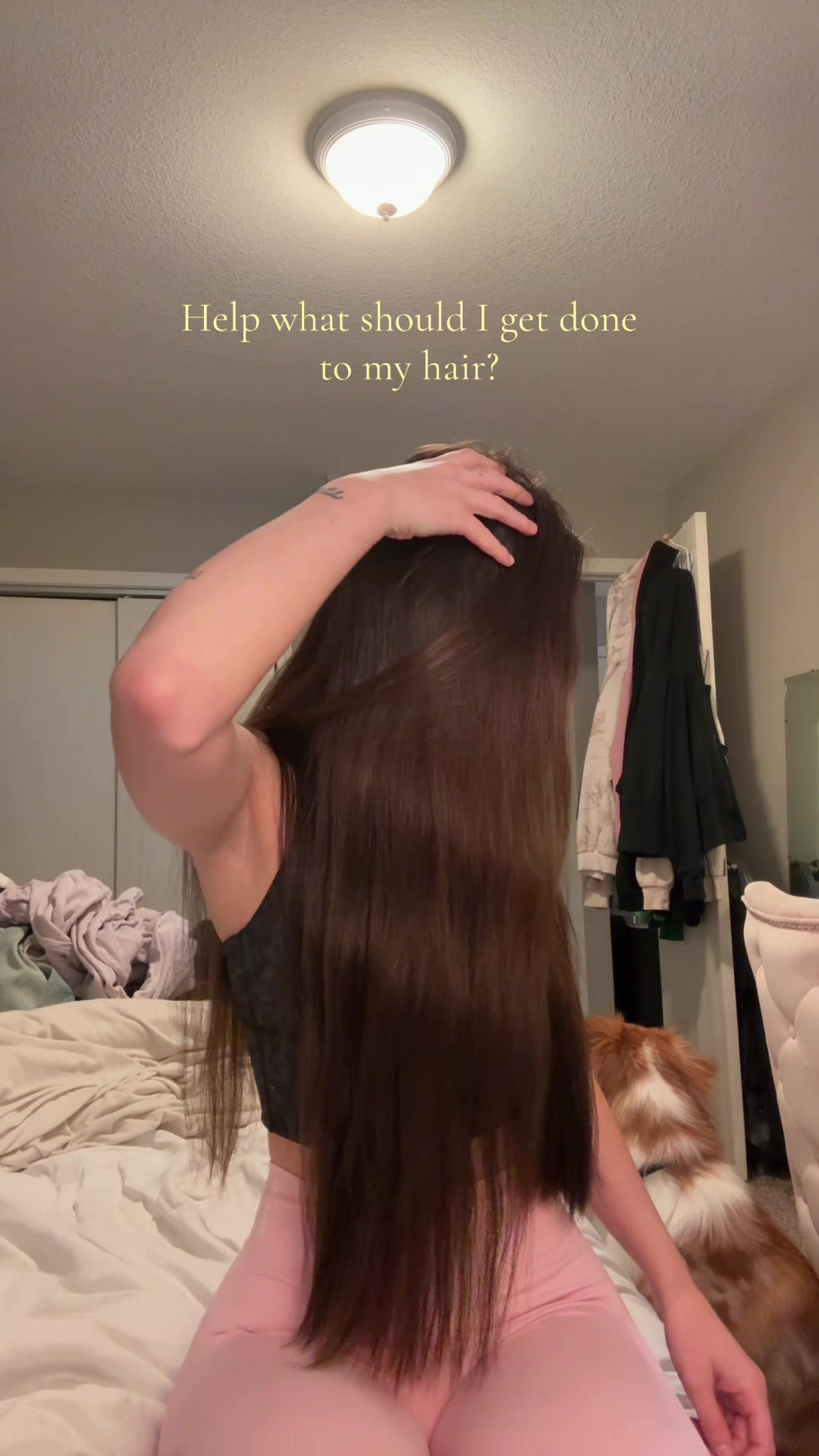 @haileymaries 🪽