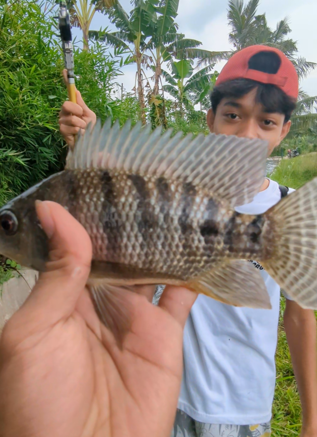 @Mancing Everyday