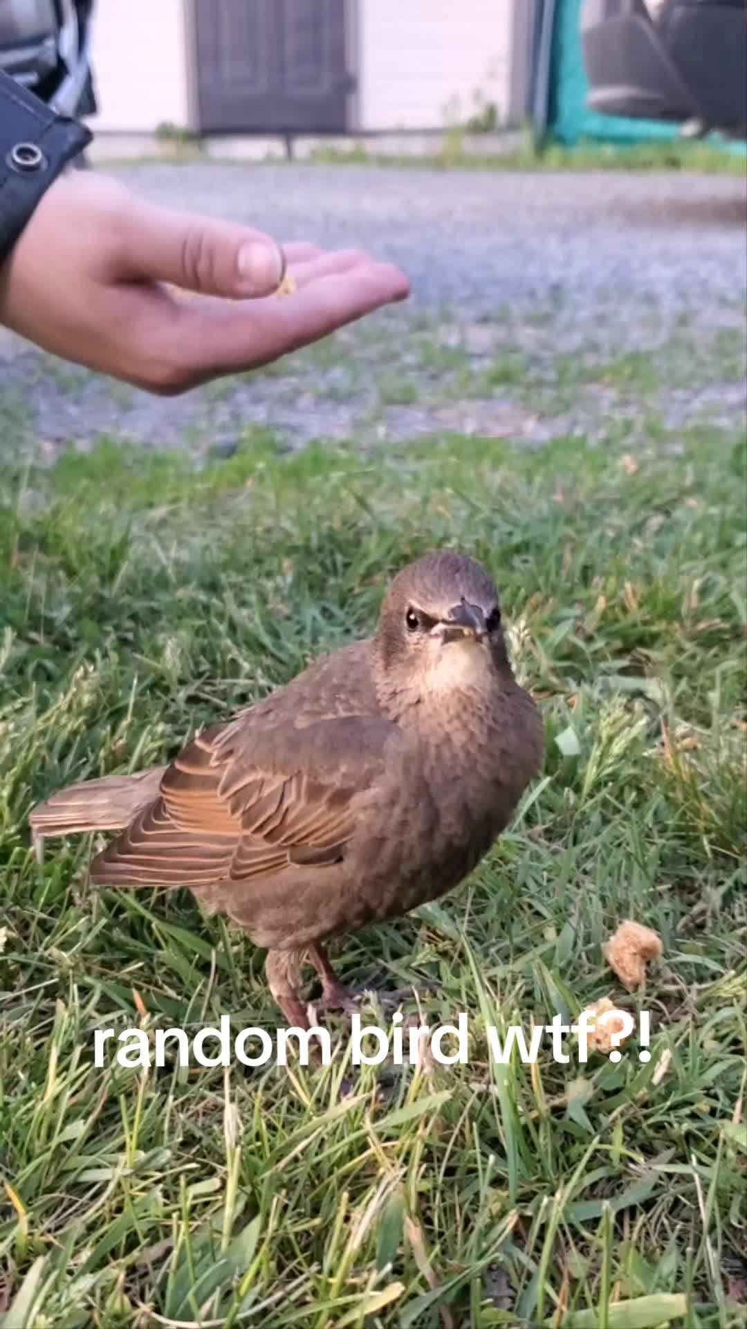 @Jake