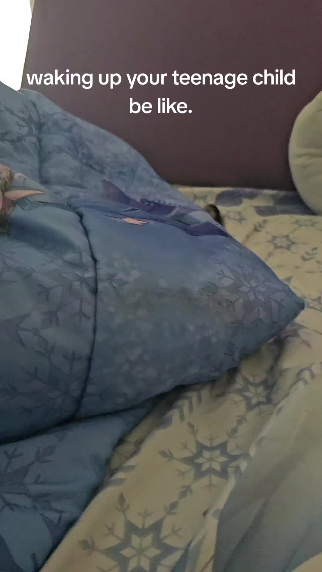 @Catgaga