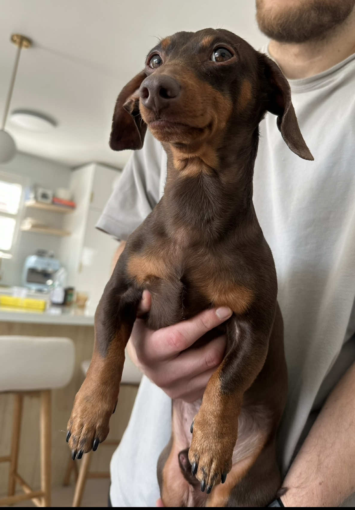 @sebbythesausage
