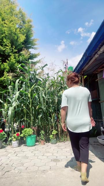 @Pasang Lhamo