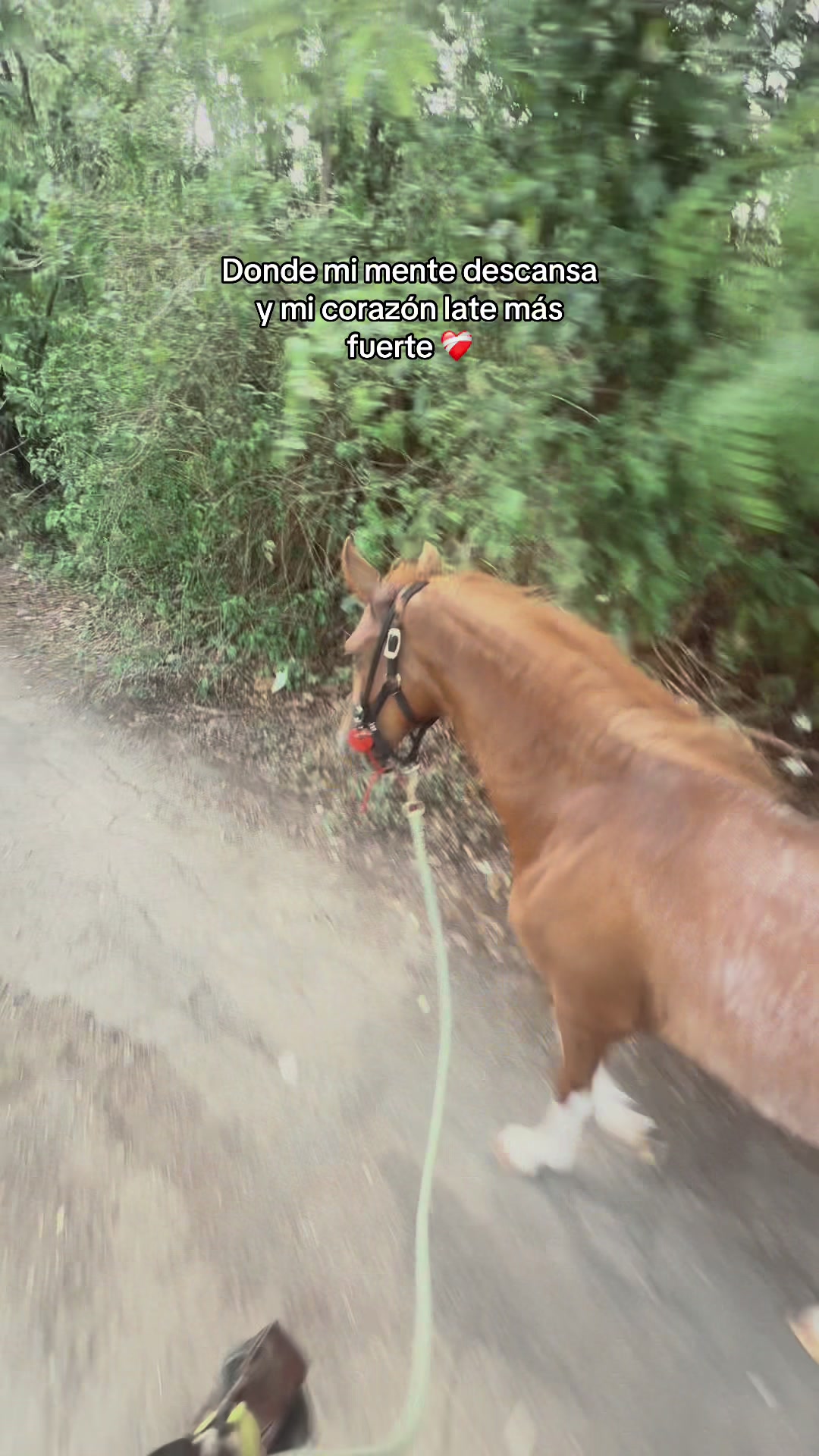 @Yany🇵🇷