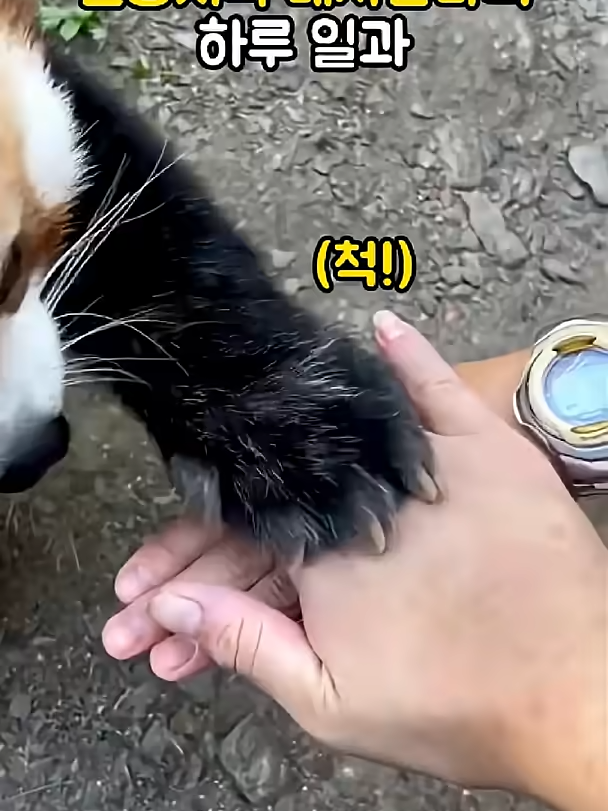@개블리