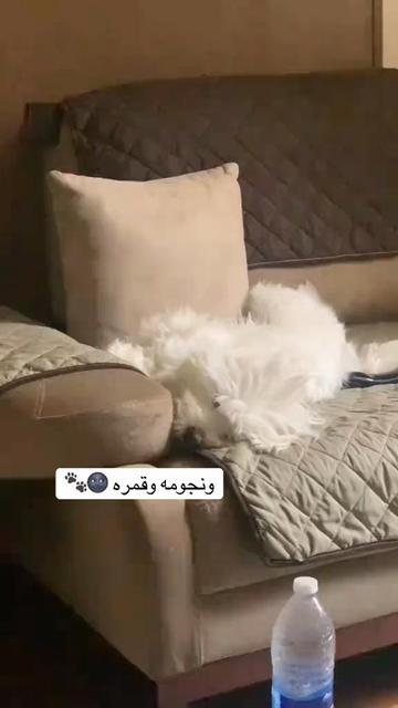 @هايدى 🎀