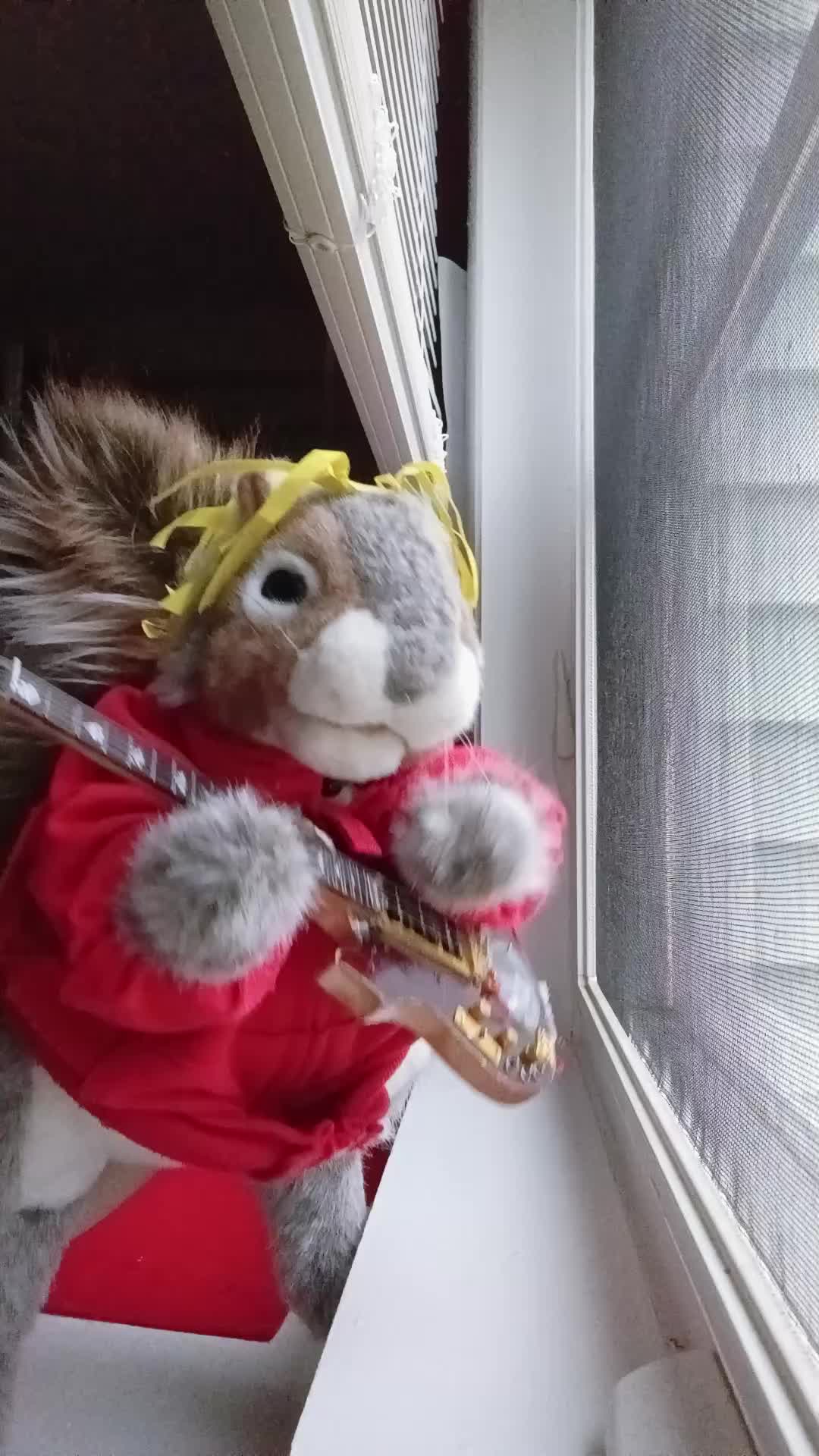 @Charles_TheSquirrel