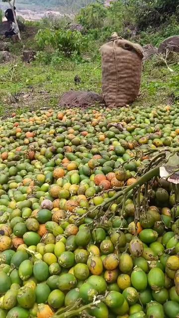 @khasi Queen