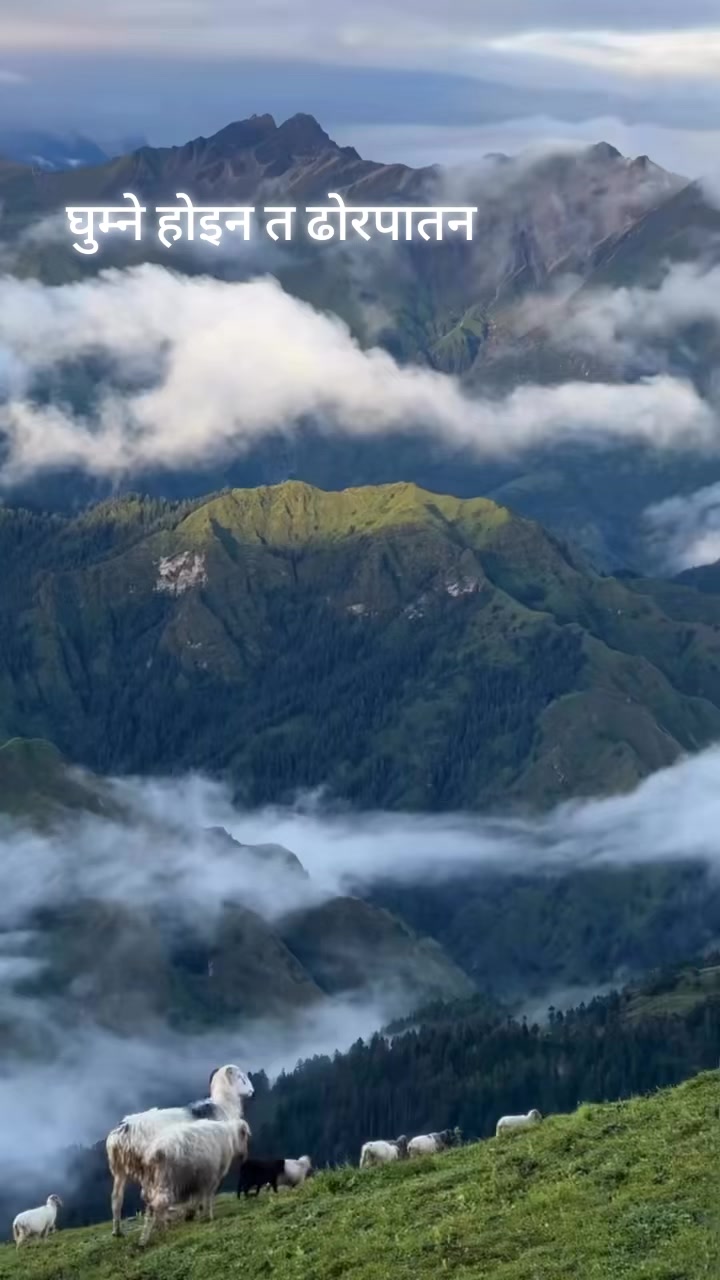 @RANA DEV 🏕️🏠️🏘️