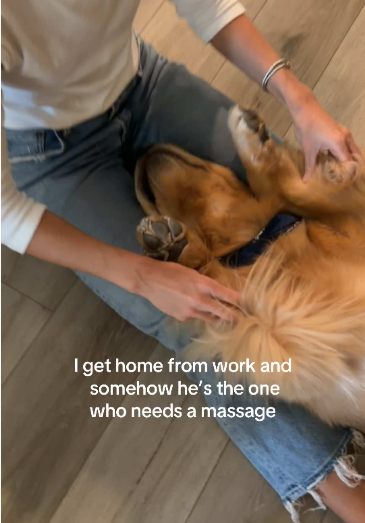 @Romeo the Retriever