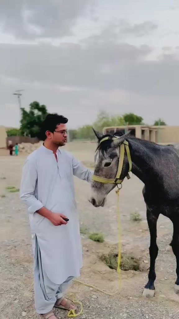 @QAZI M IDREES