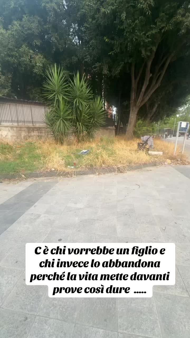 @Carmela Liotta