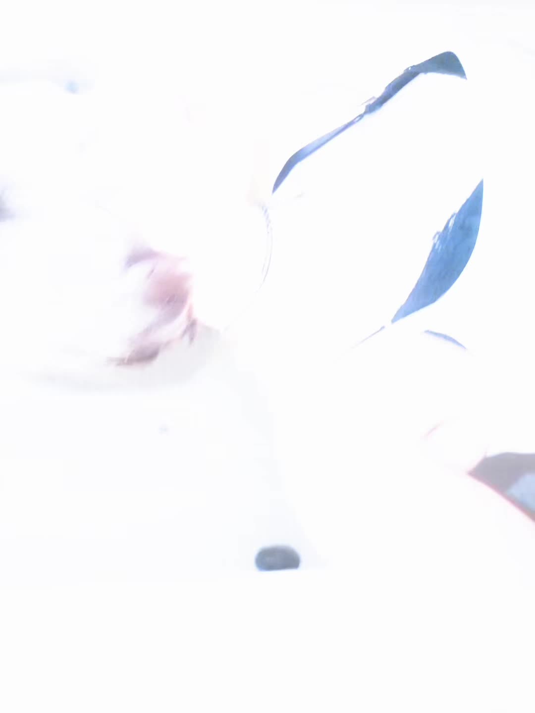 @h3r01nYA
