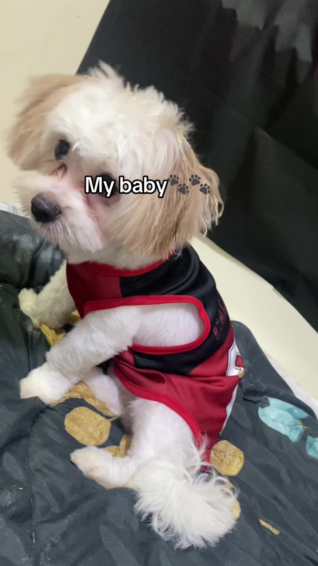 @LilMeee