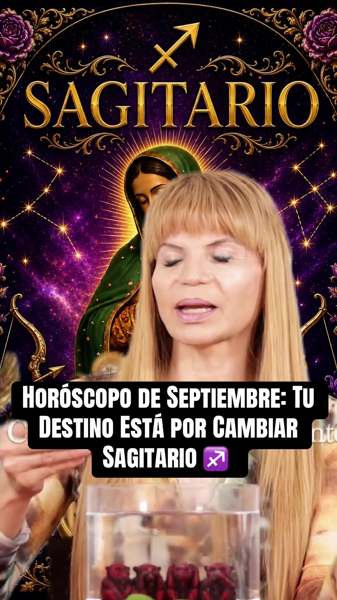 @✨ORÁCULO 13 ✨