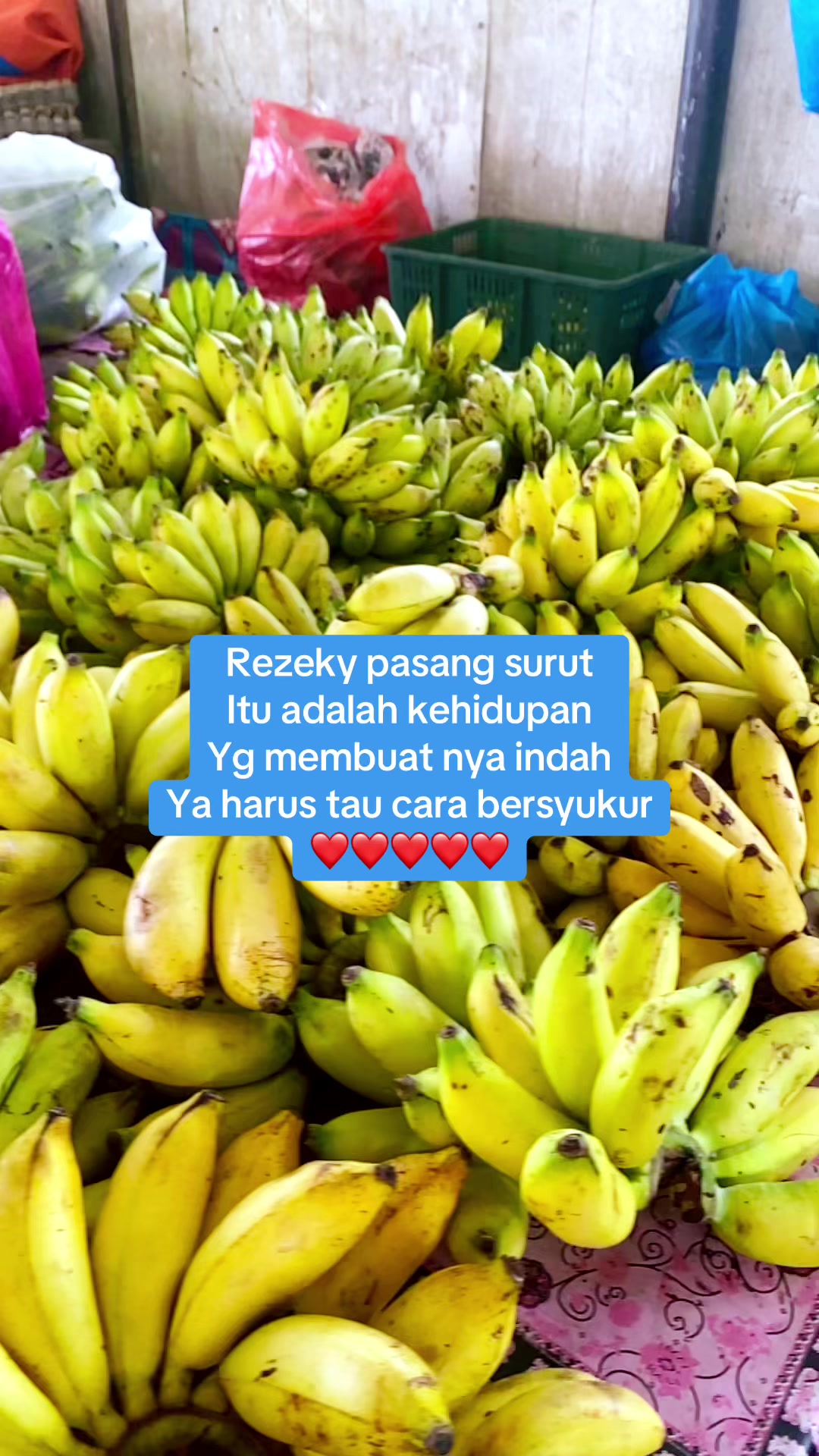 @paujiah