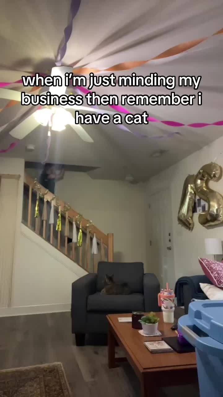 @Humor