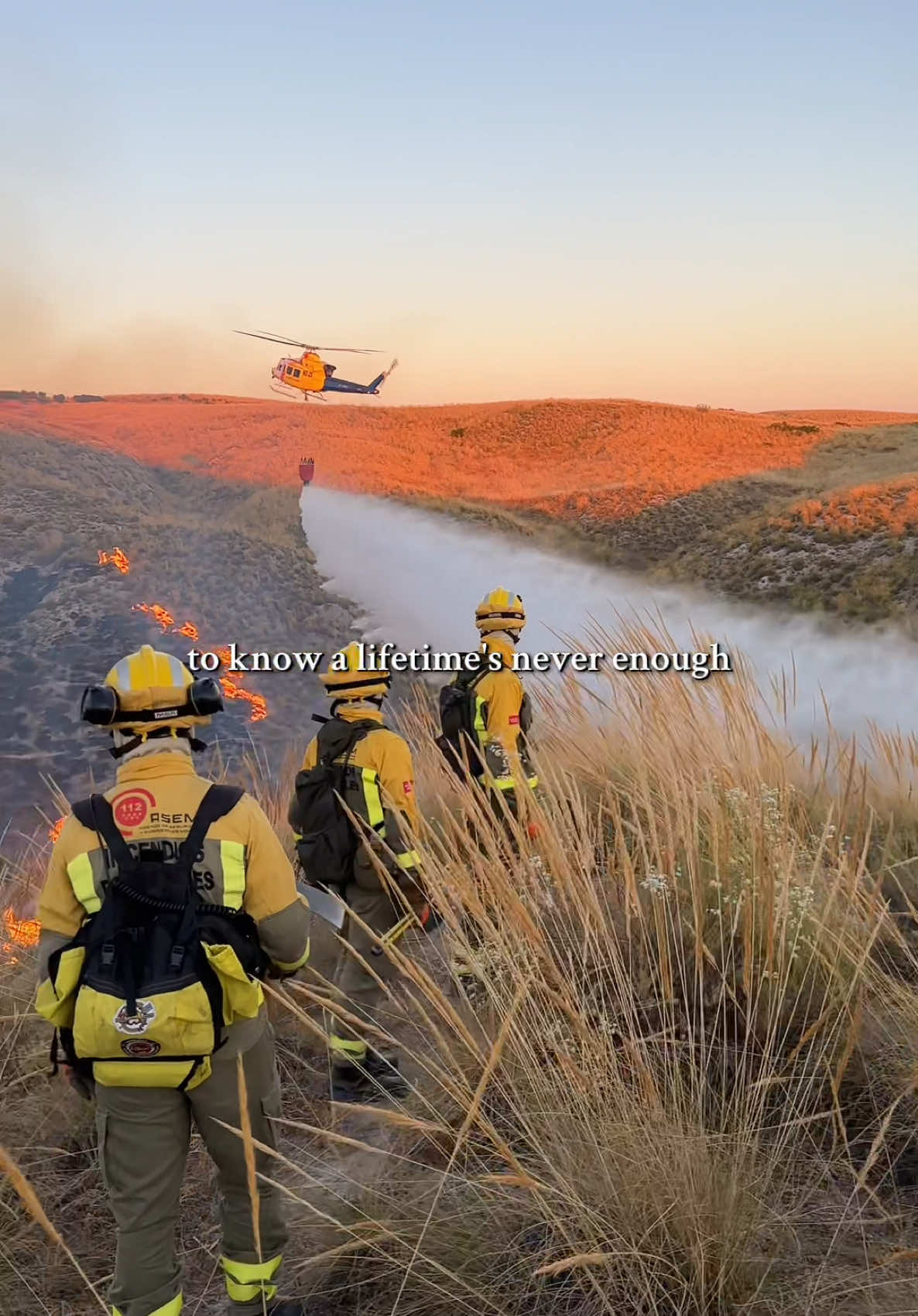 @Bombero Forestal