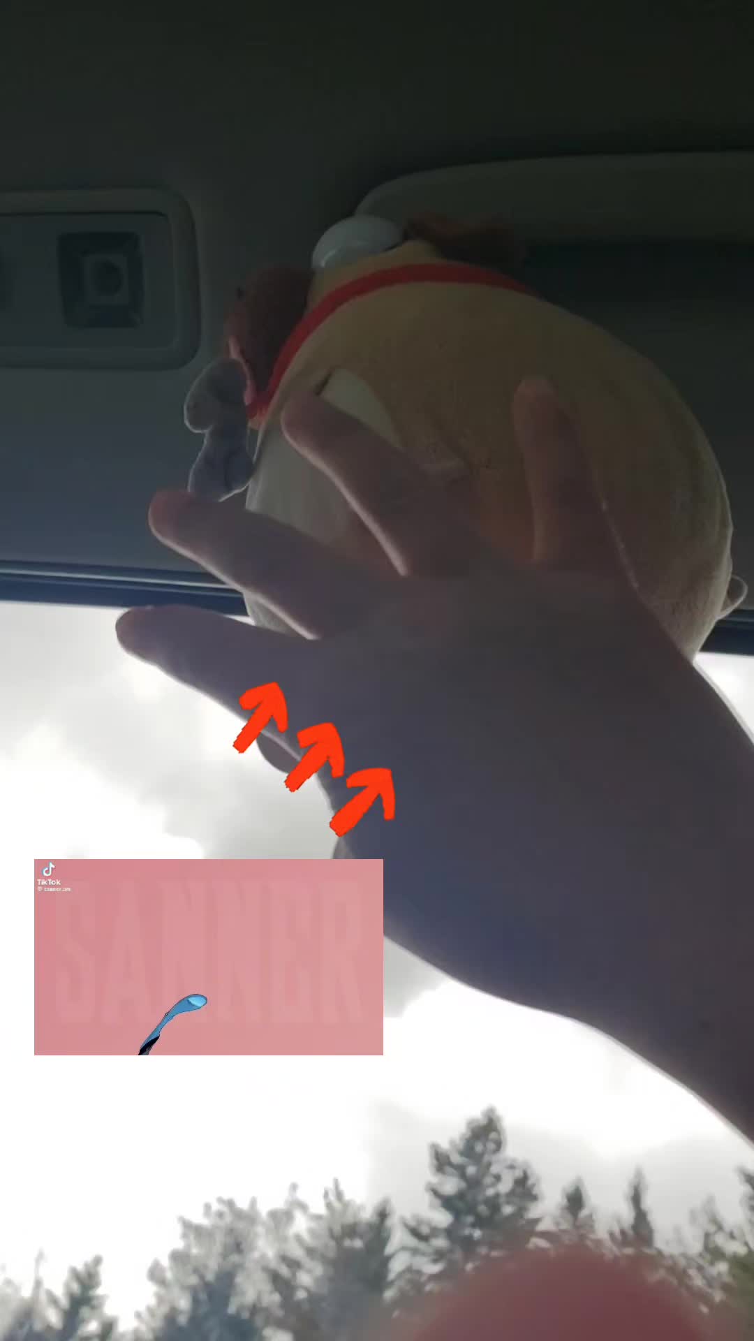 @Tashin6741