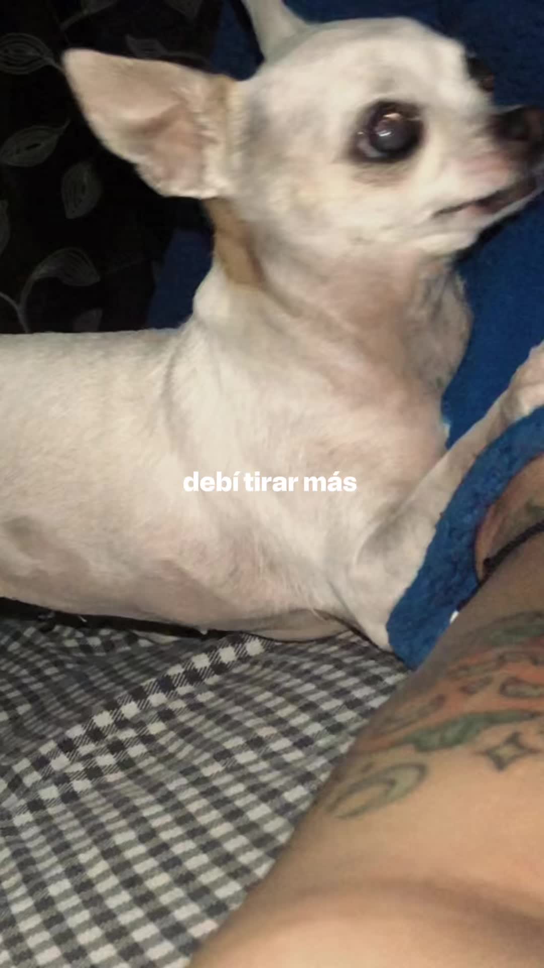 @Sonnybunny🐰
