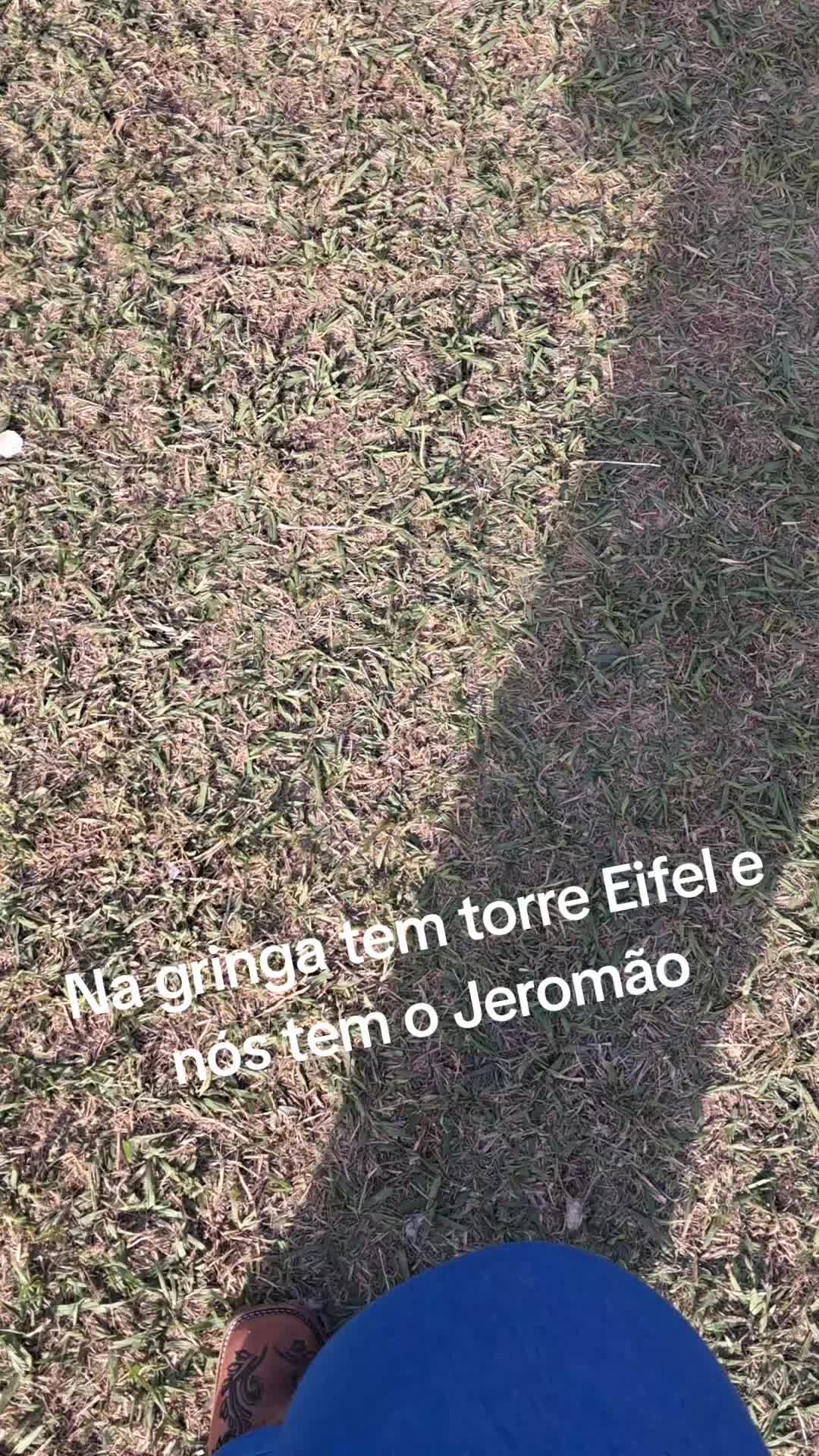 @Dani Moreale Fernandes