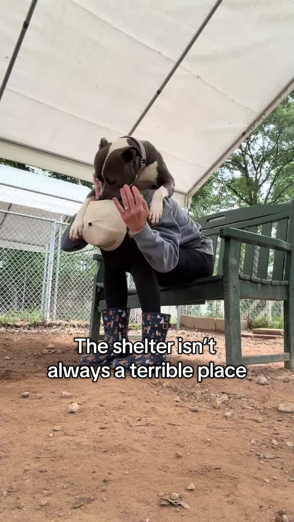 @Corridor Rescue Inc.
