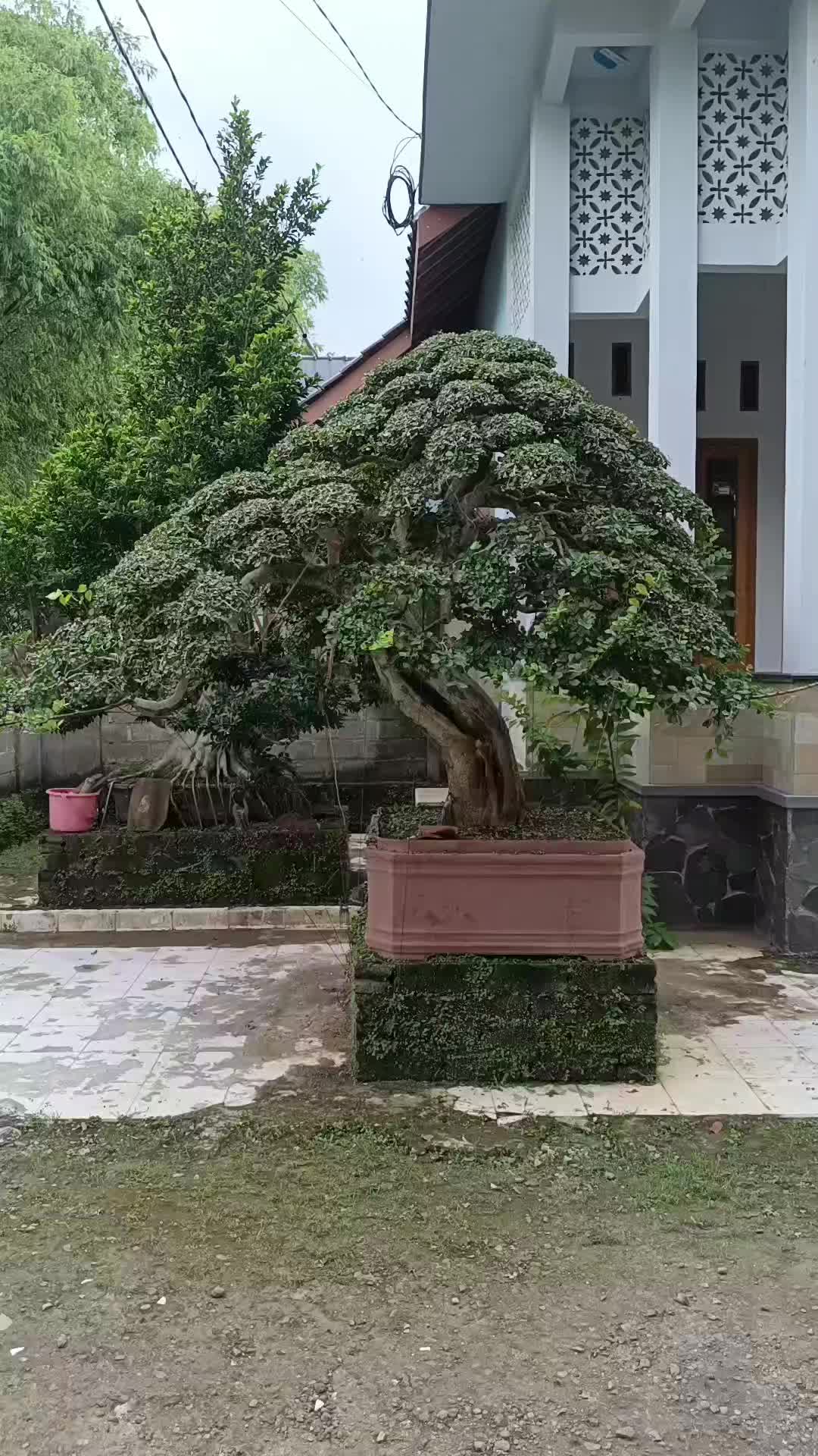 @ulinnuha