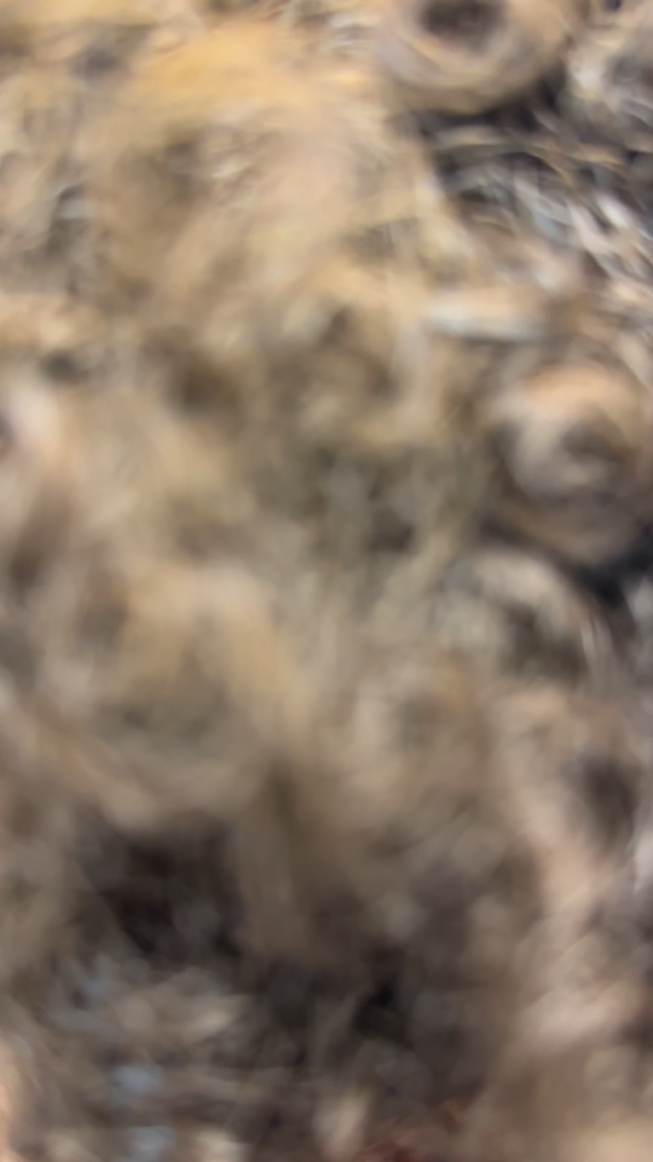 @$Cutzzz