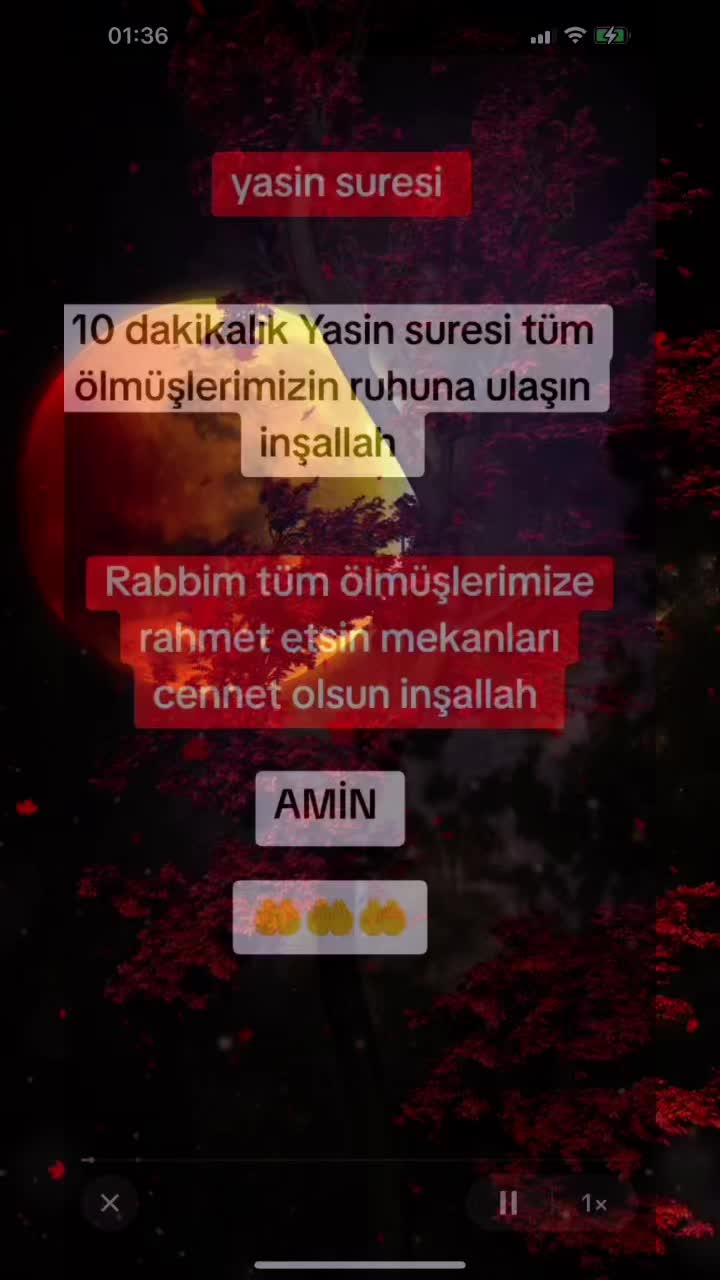 @biryolcu_var