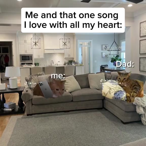 @polqssk