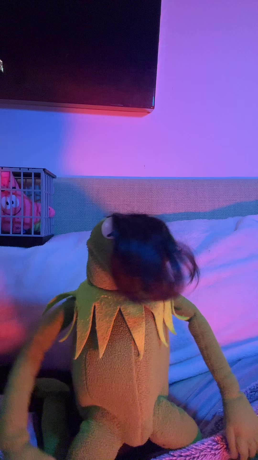 @🐸 Crashout Kermy 🐸
