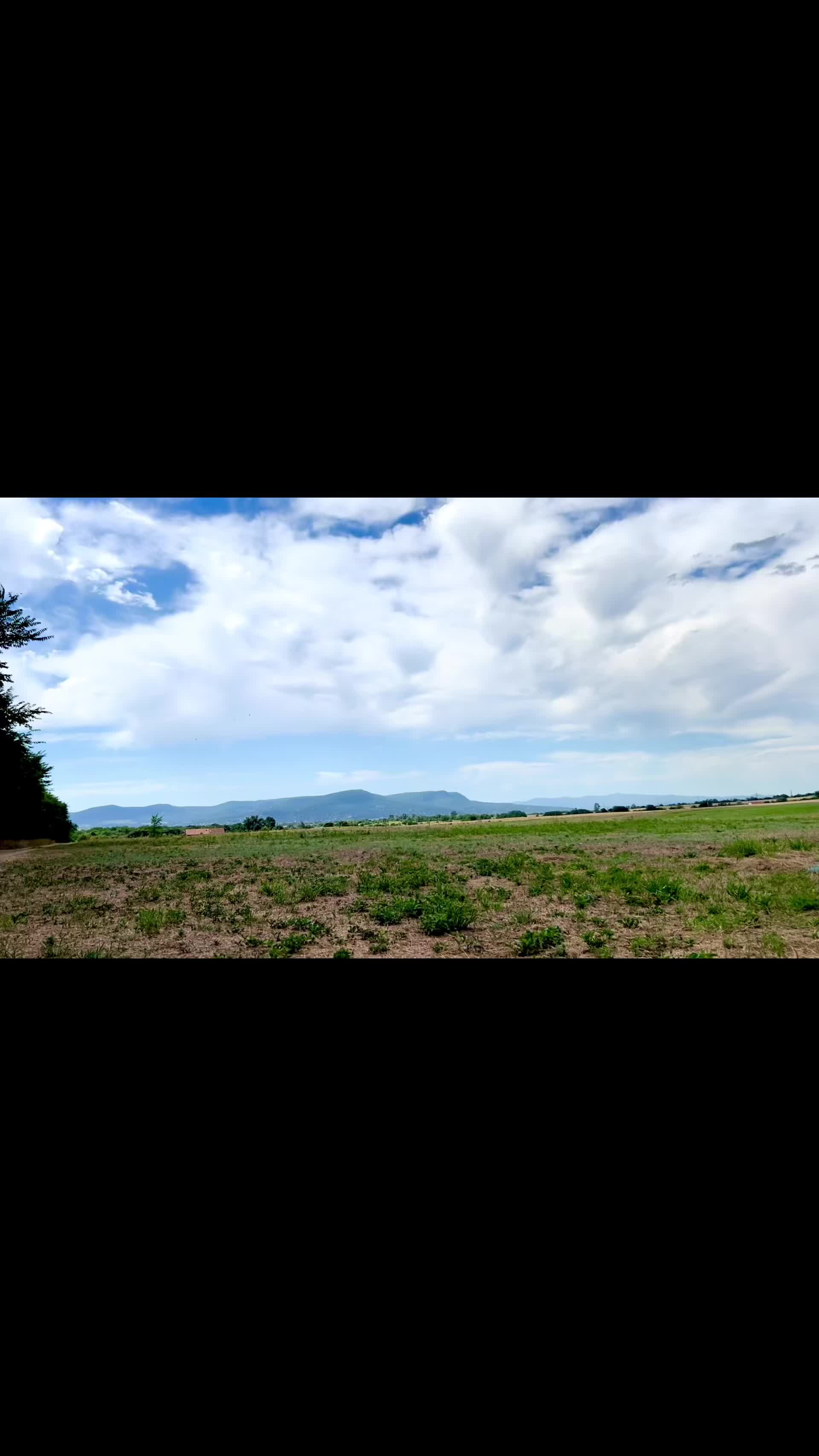 @harbirbhandal
