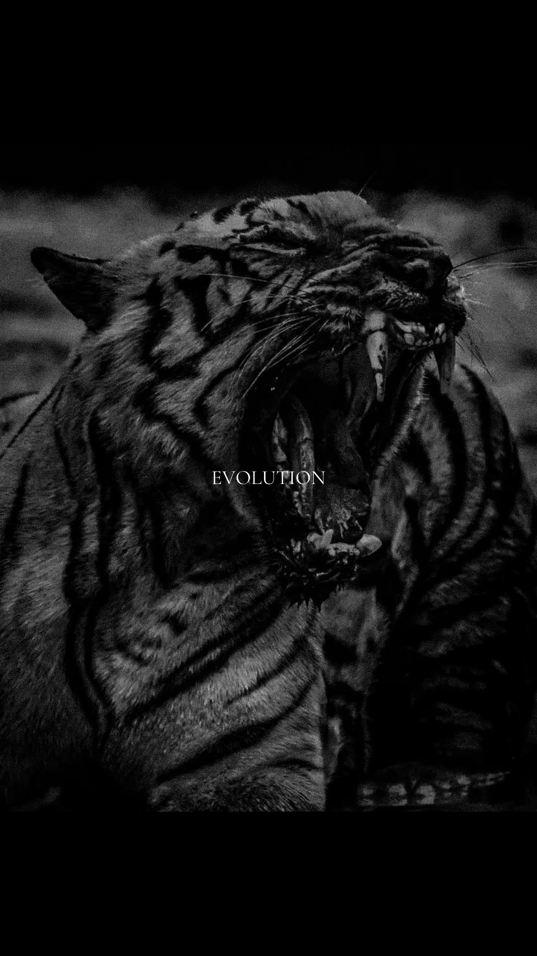 @manowar.co