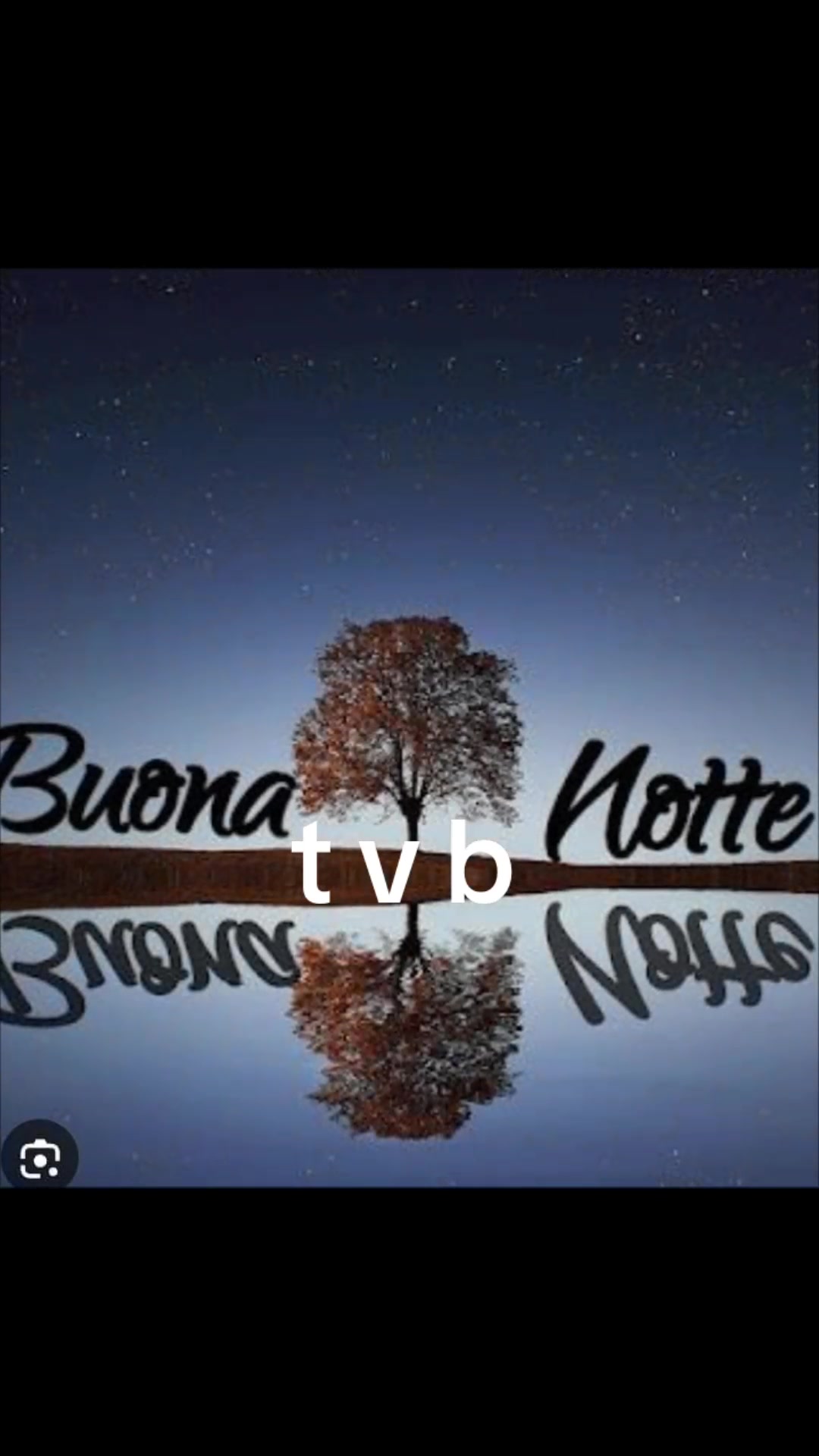 @alessandramarchi726