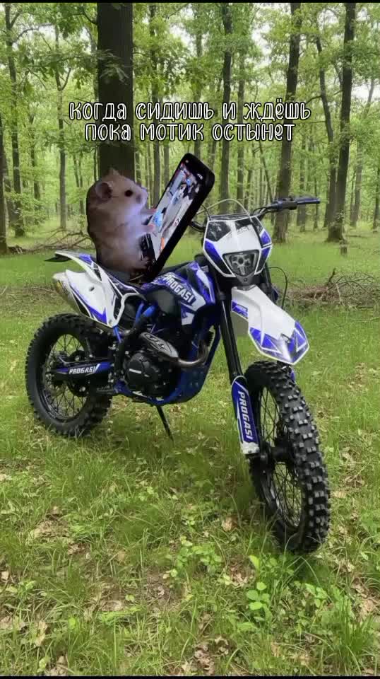 @𝔓&real;𝔒𝔊𝔄𝔖𝔗𝔎&sup3;⁰⁰👾