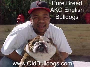 @OGMasterOfAllBulldogs