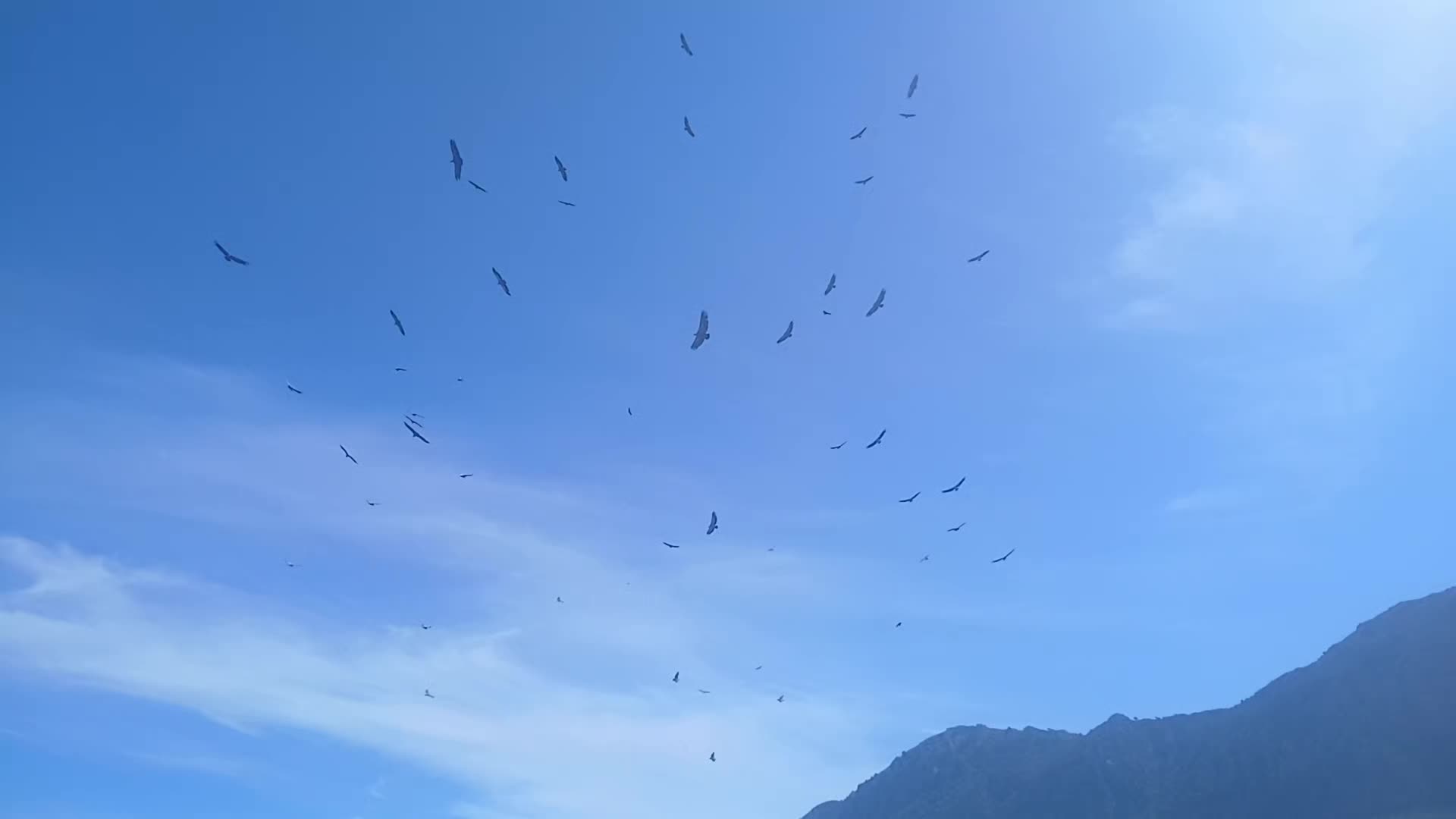 @🇪🇸Tequila-hottah&uuml;🇪🇺