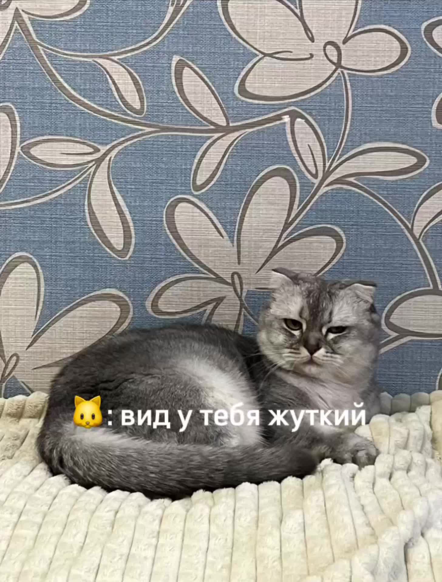 @нуя