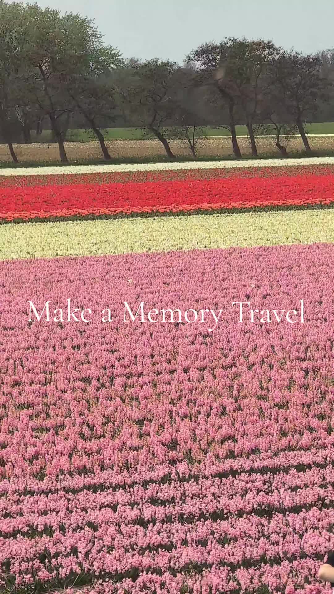 @Make a Memory Travel