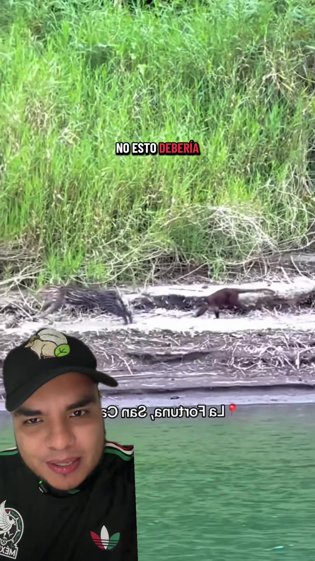@Jair Herrera 🐆
