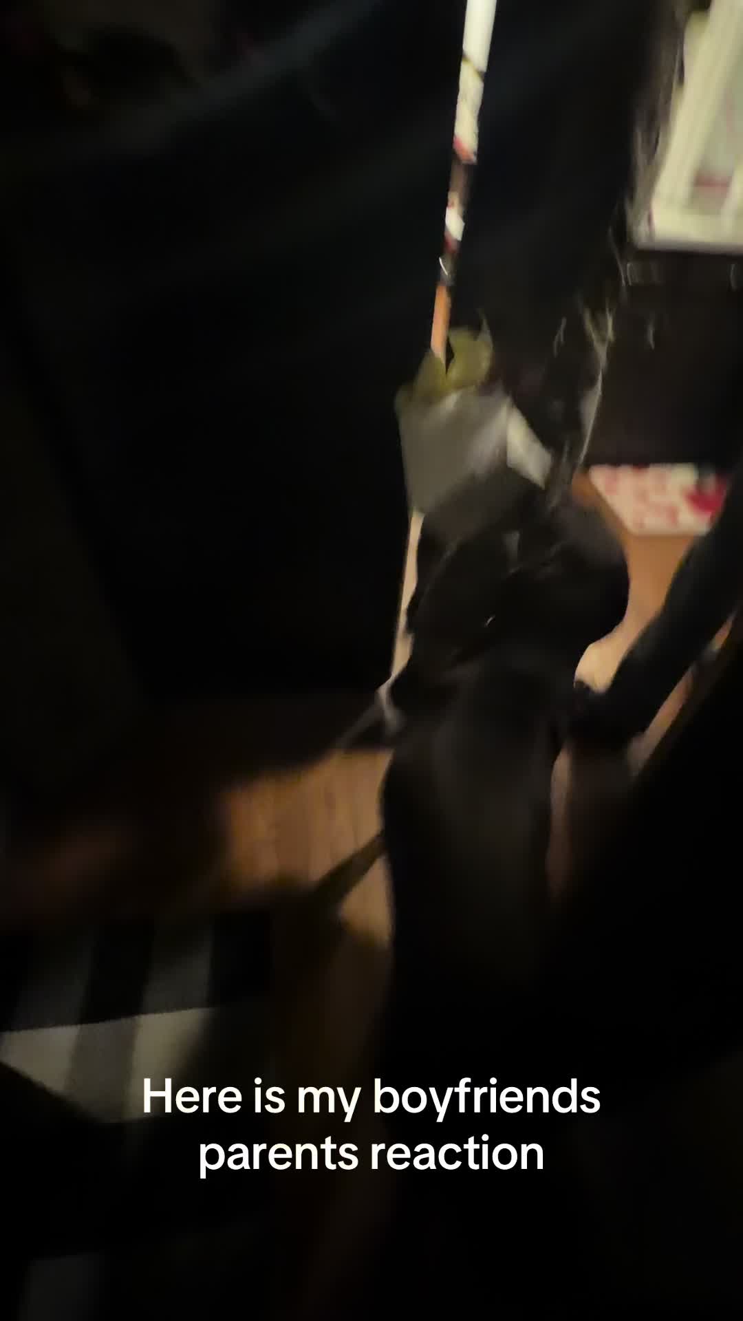 @ashlynnellis10