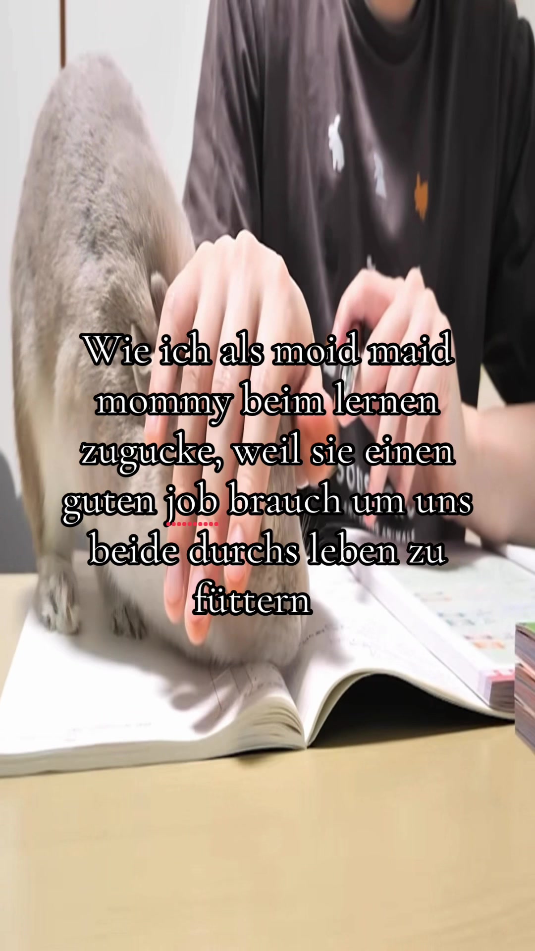 @Eierkopfsalat