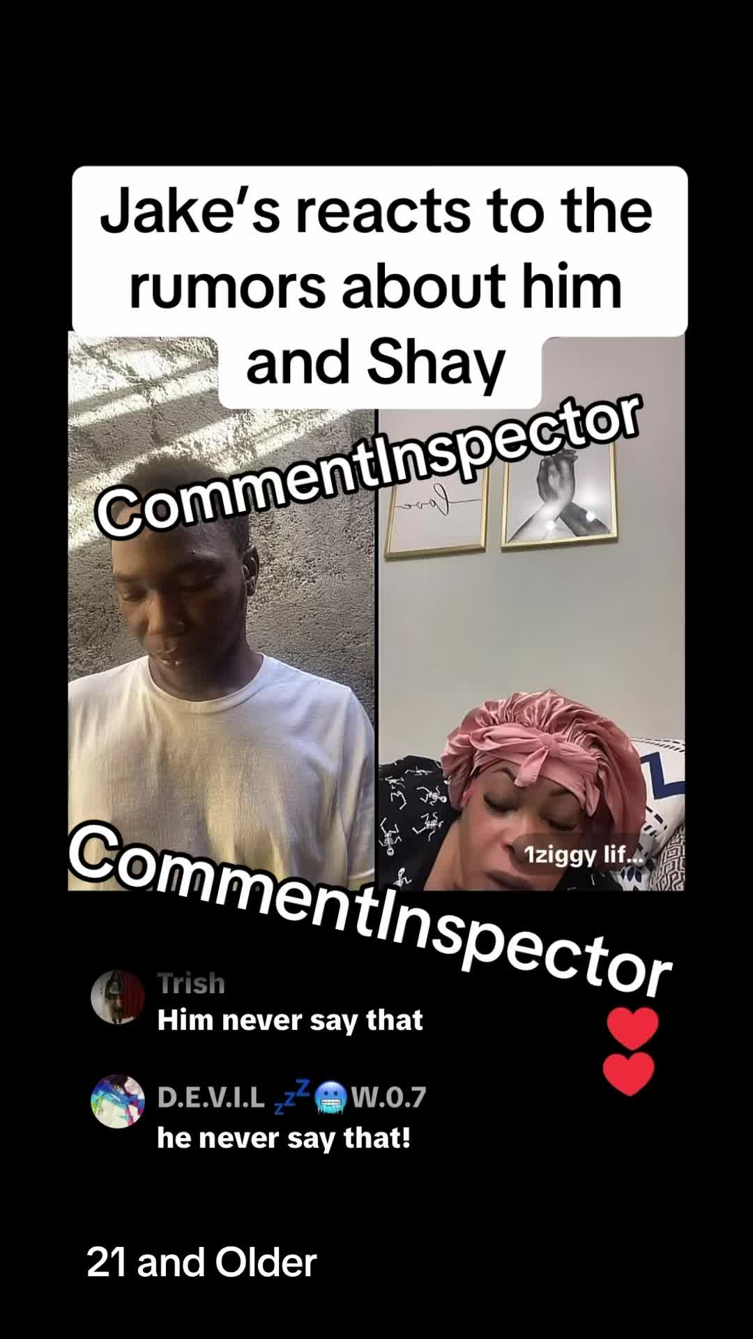 @CommentInspector