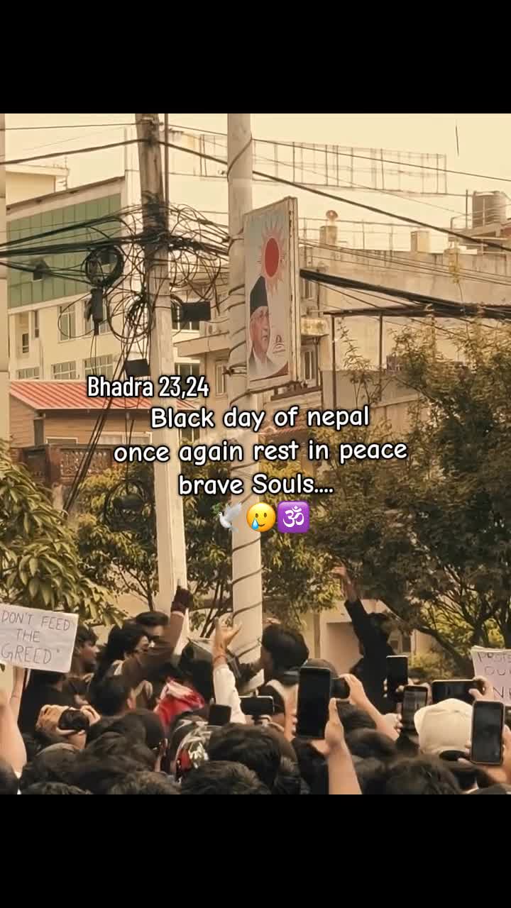 @ミ♡ 𝐒𝐢𝐦𝐩𝐥𝐞 𝐁𝐨𝐲 ♡彡
