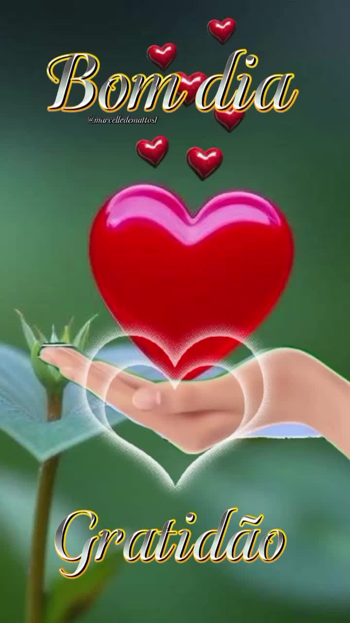@Sandra Sampaio fermiano🙌❤️🙌