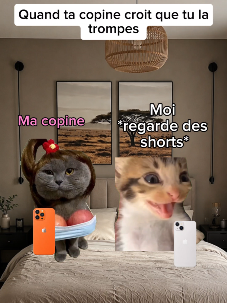 @shorts2chat 😽