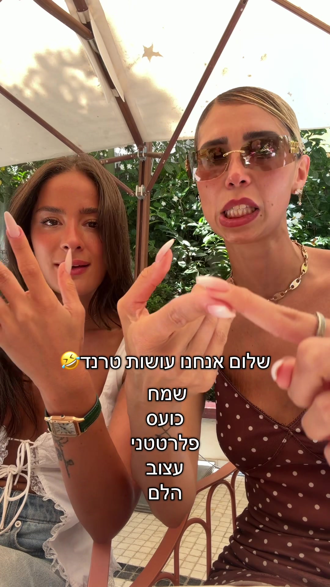 @almog_c.a
