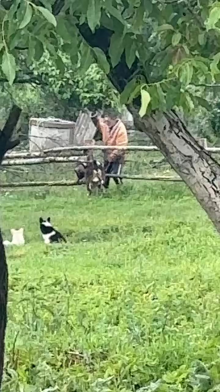 @Стьопа 🥷🏻