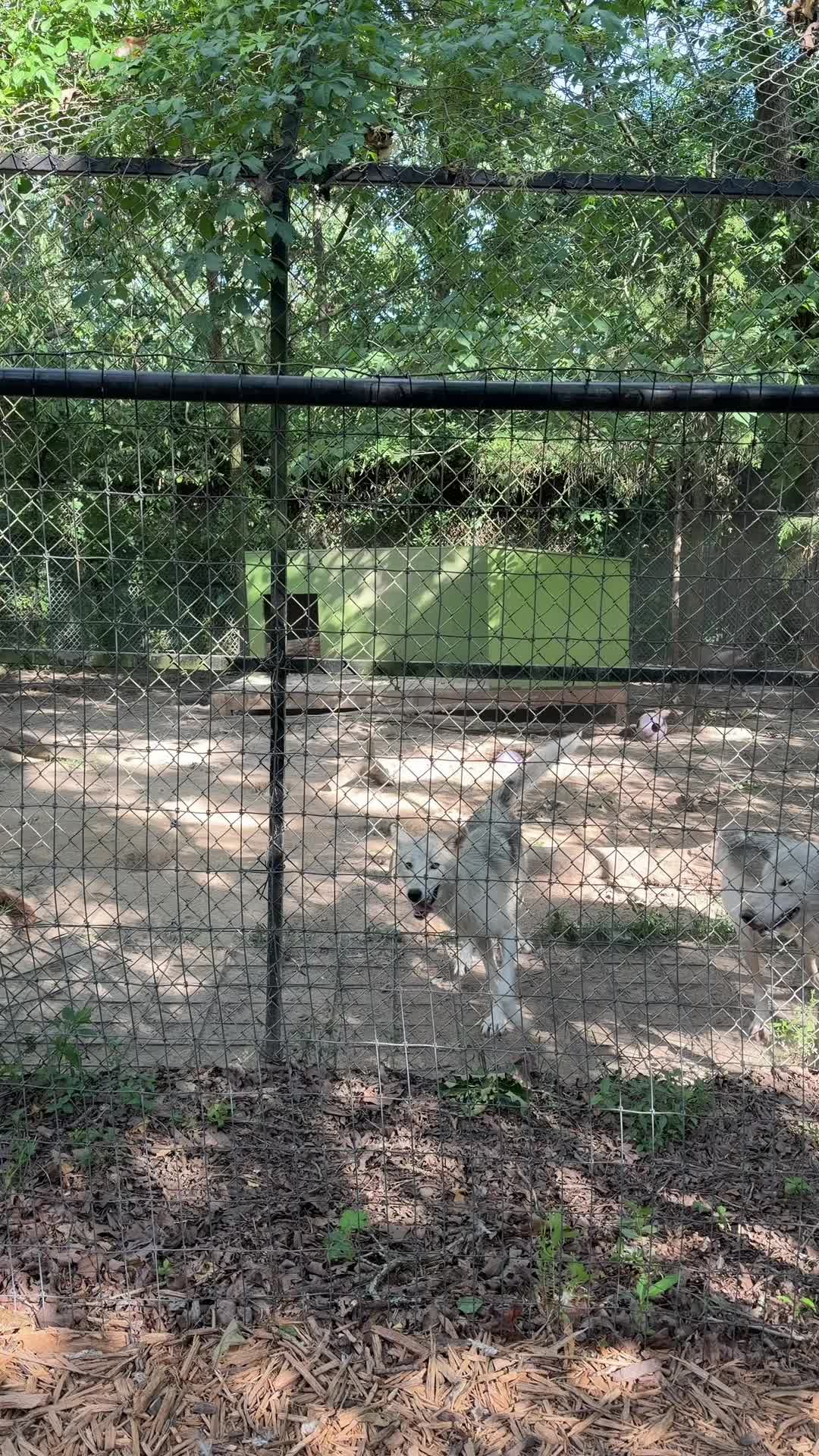 @Liondad87๐ฆ